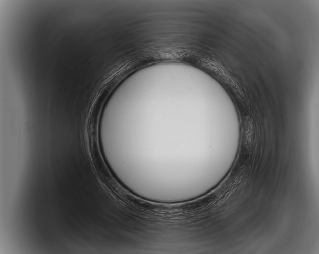 X0000098130683200804171059