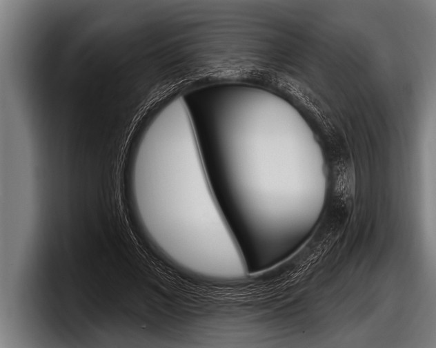 X0000098130685200804171059