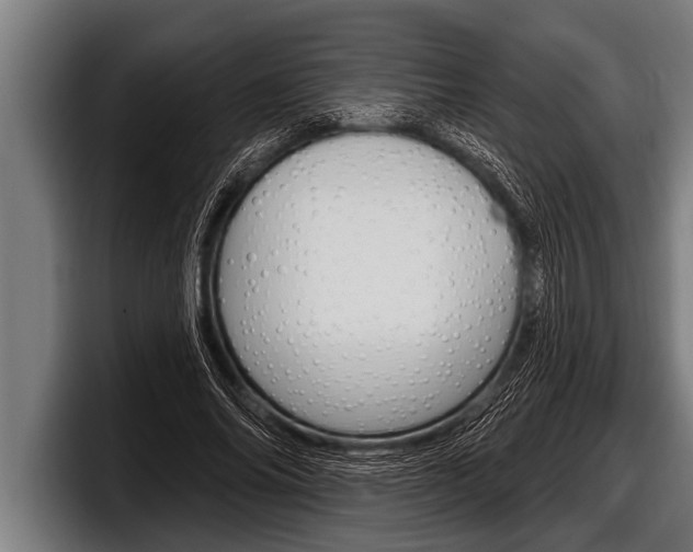 X0000098130686200804171059