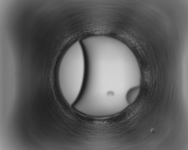X0000098130690200804171059