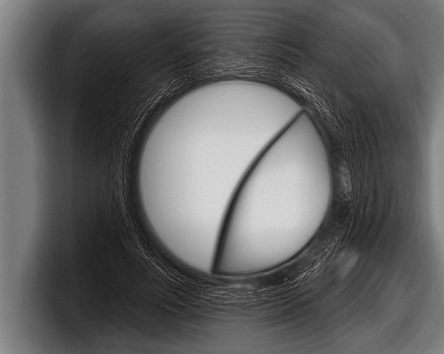 X0000098130691200804171059