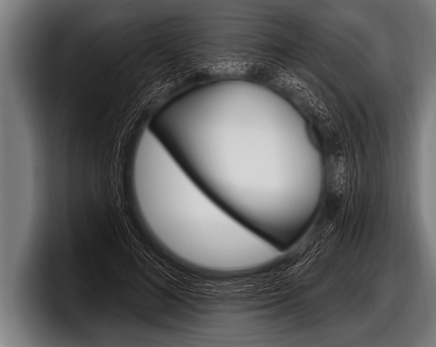 X0000098130692200804171059