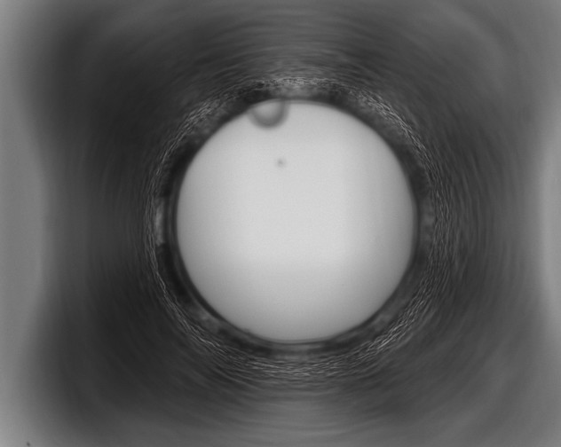 X0000098130694200804171059
