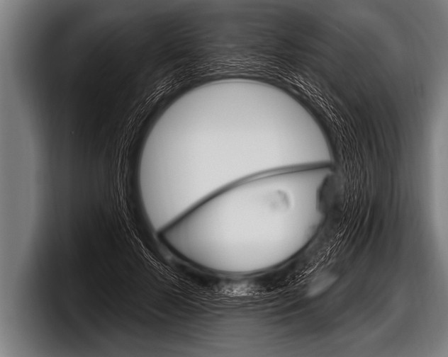 X0000098130695200804171059