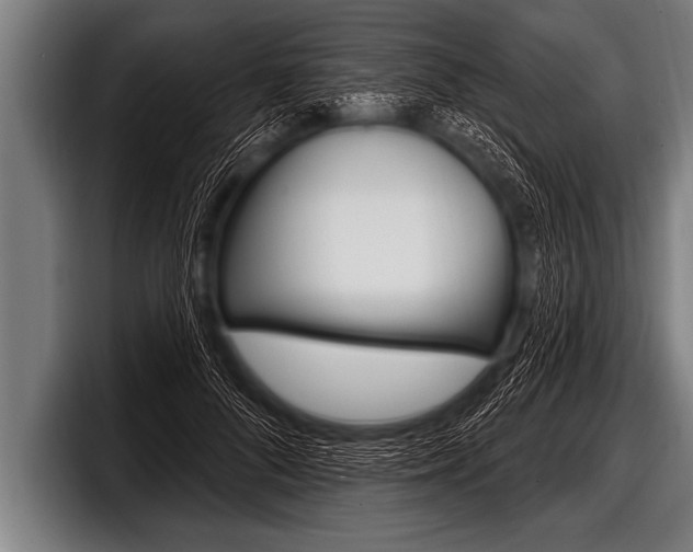 X0000098130696200804171059