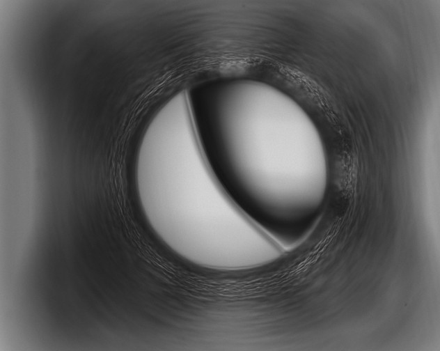 X0000098130697200804171059