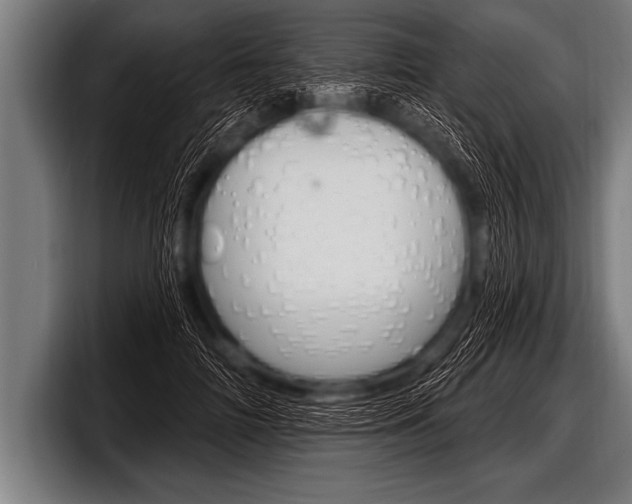 X0000098130698200804171059