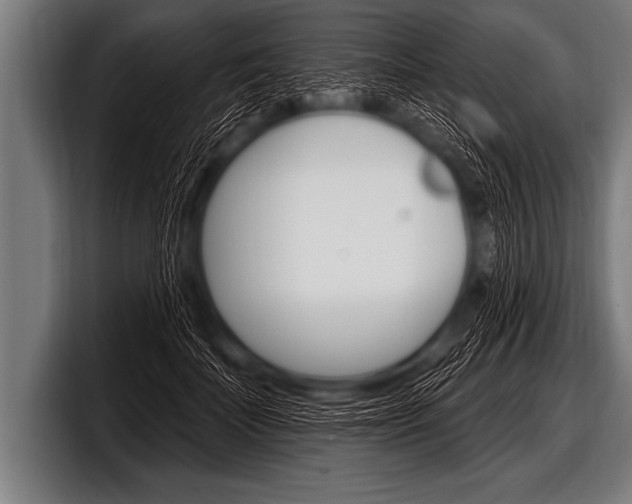 X0000098130699200804171059