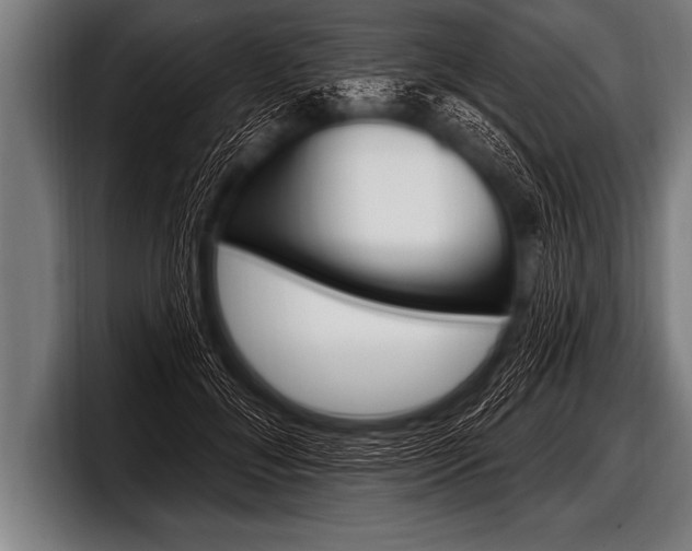 X0000098130700200804171059
