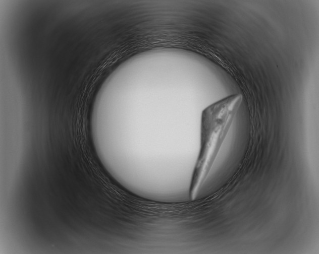 X0000098130701200804171059