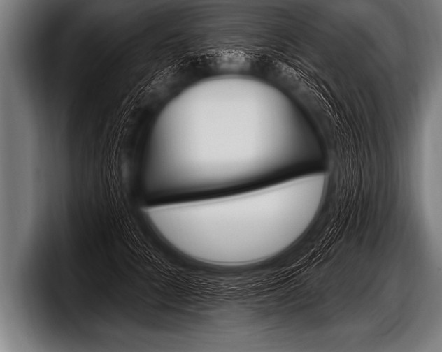 X0000098130704200804171059