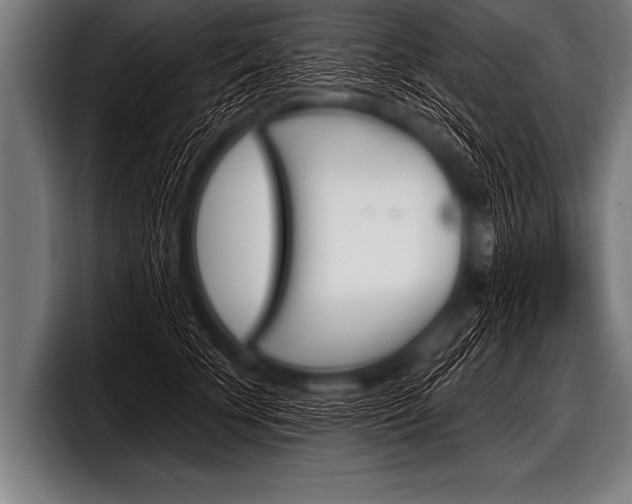X0000098130707200804171059