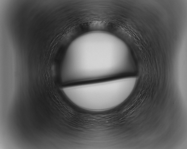 X0000098130708200804171059