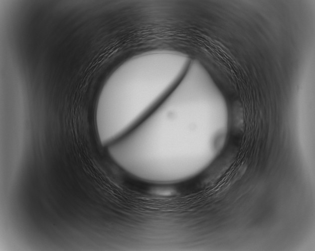 X0000098130711200804171059
