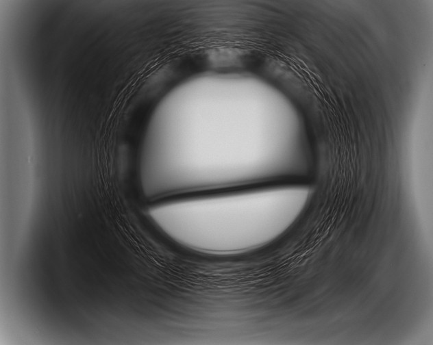 X0000098130712200804171059