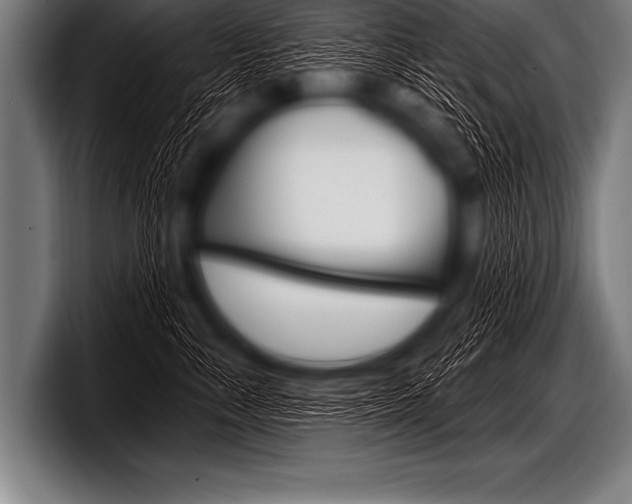 X0000098130716200804171059