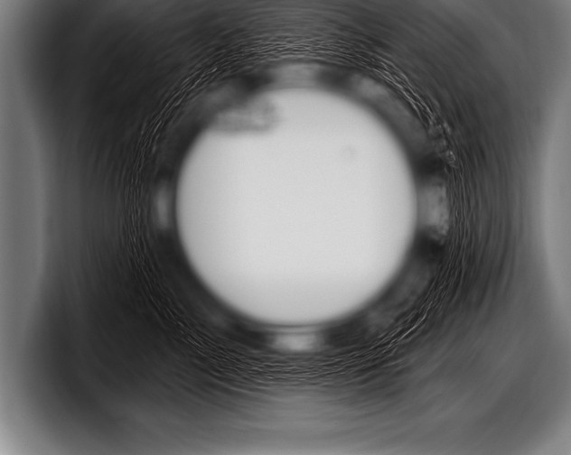 X0000098130717200804171059