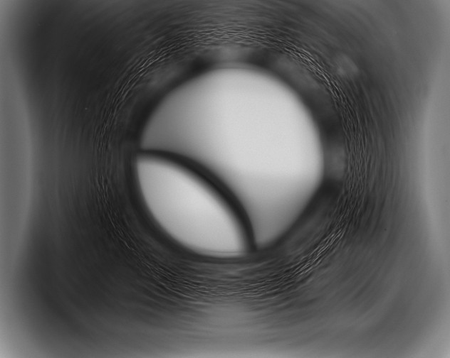 X0000098130719200804171059