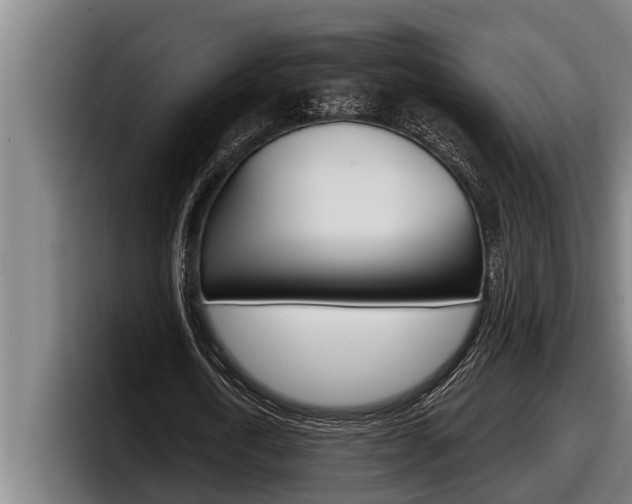 X0000098130722200804171058