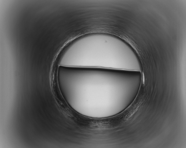 X0000098130723200804171058