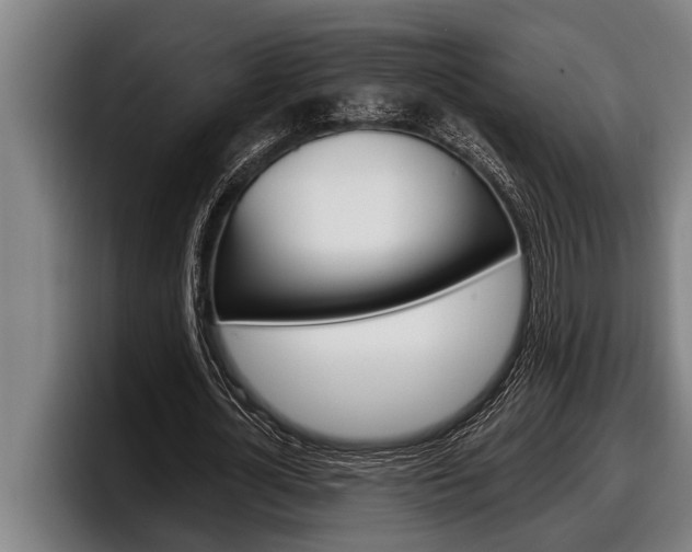 X0000098130724200804171058