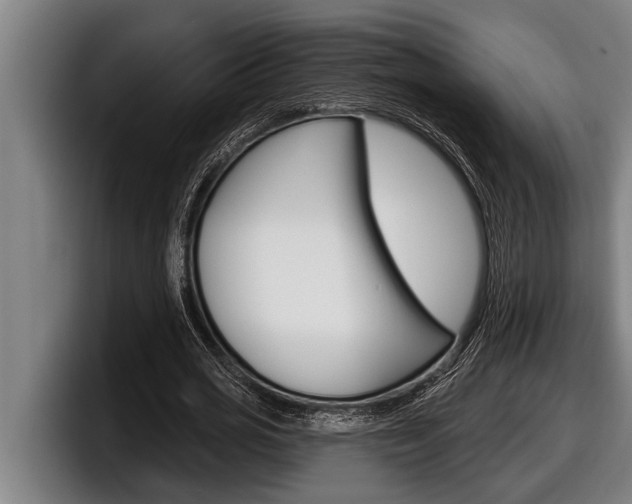 X0000098130725200804171058