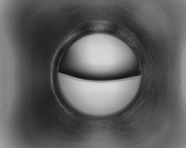 X0000098130728200804171058