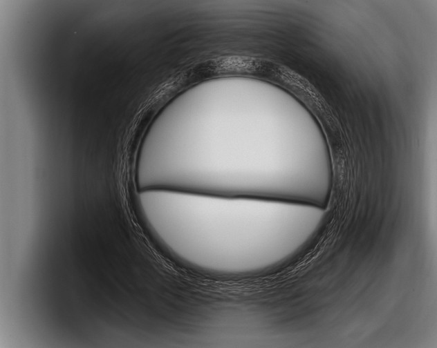 X0000098130729200804171058