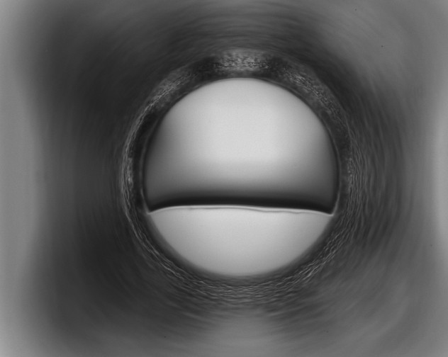 X0000098130731200804171058