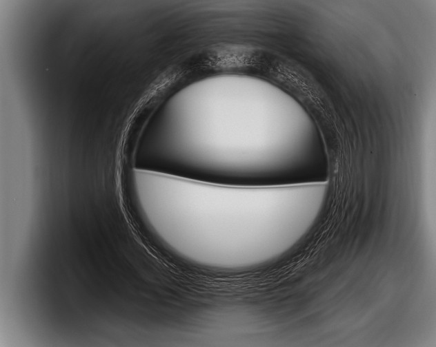 X0000098130732200804171058