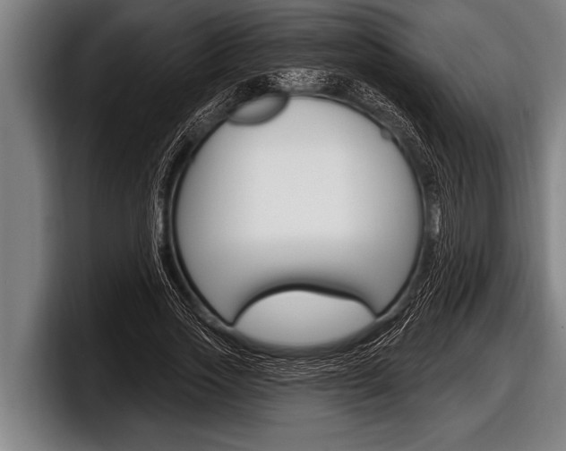 X0000098130733200804171058