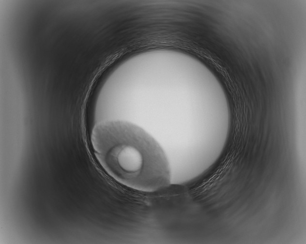 X0000098130734200804171058