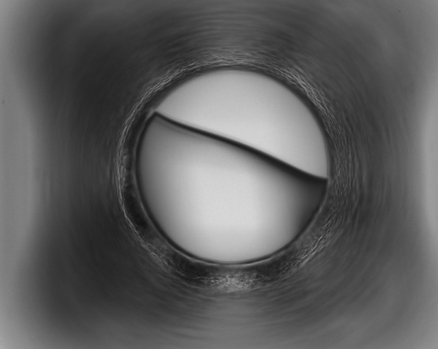 X0000098130736200804171058