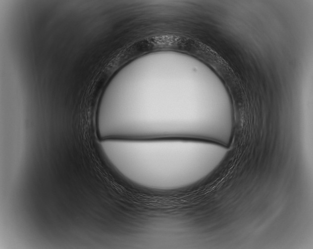 X0000098130737200804171058
