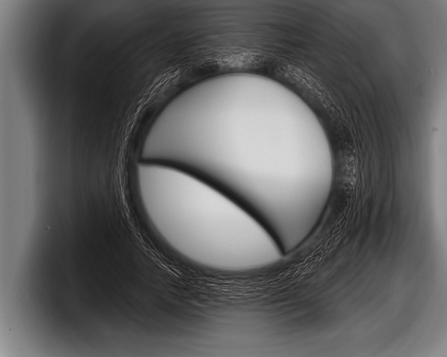 X0000098130738200804171059