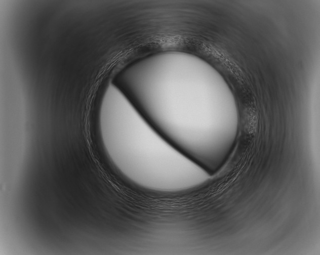 X0000098130740200804171059