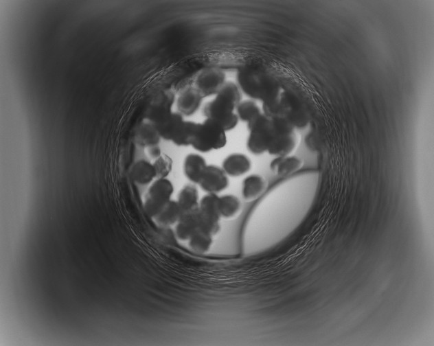 X0000098130741200804171059