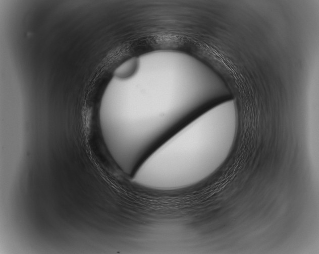 X0000098130742200804171059