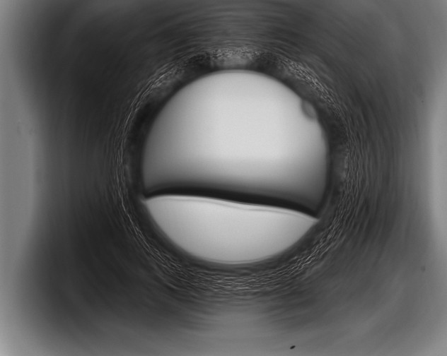 X0000098130743200804171059