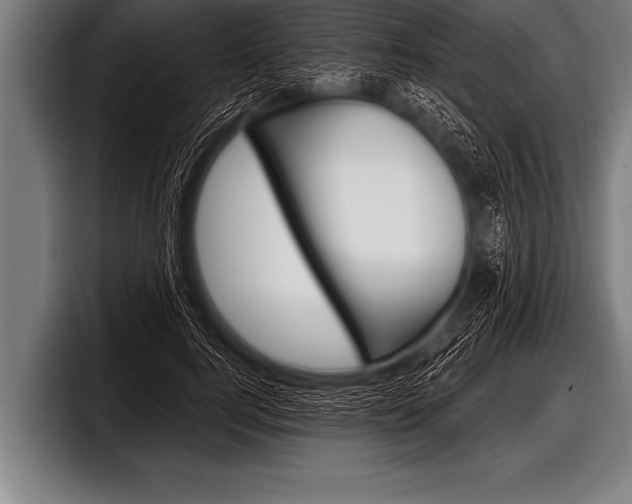 X0000098130744200804171059