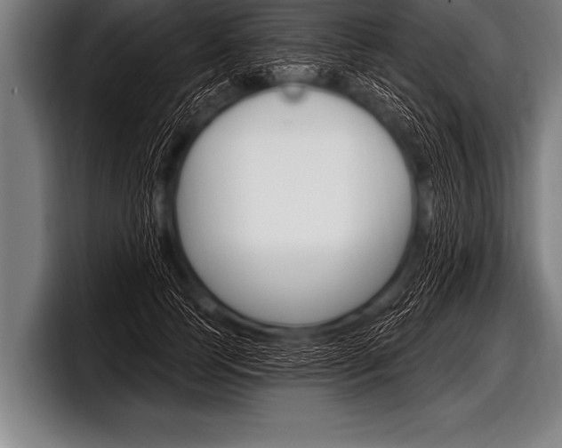 X0000098130745200804171059