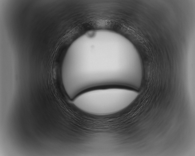 X0000098130746200804171059
