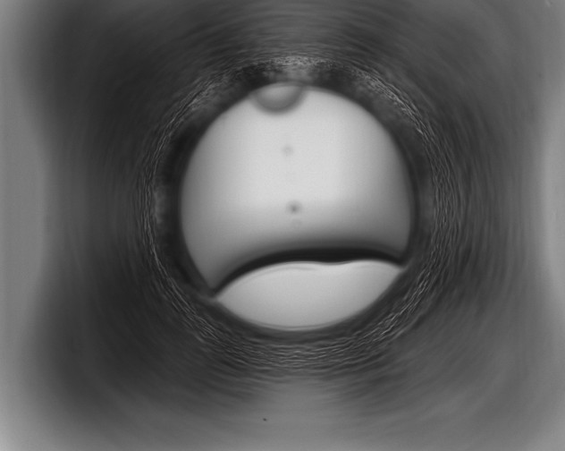 X0000098130747200804171059