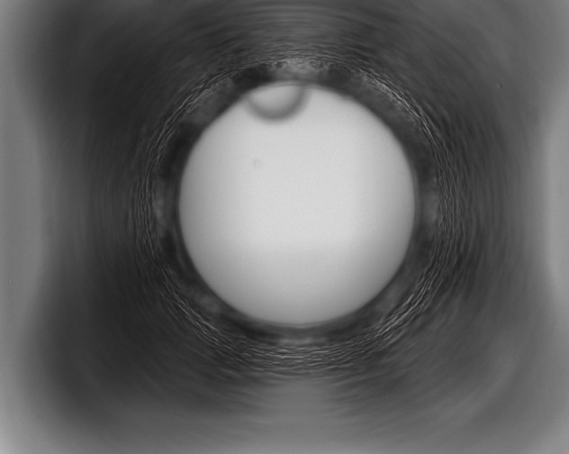 X0000098130749200804171059