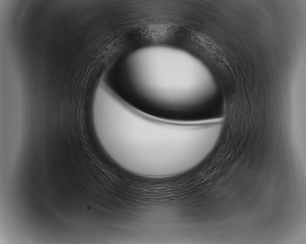 X0000098130750200804171059