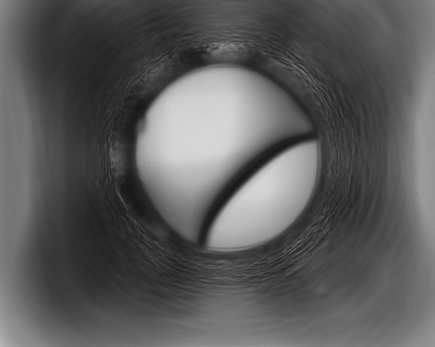 X0000098130751200804171059