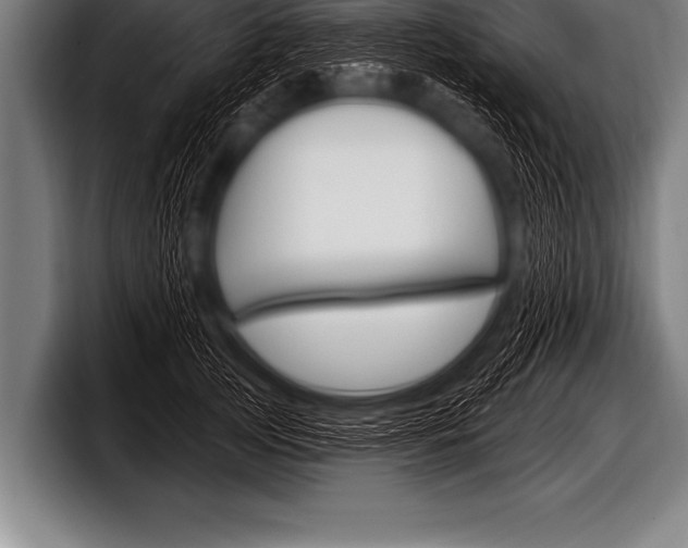 X0000098130753200804171059