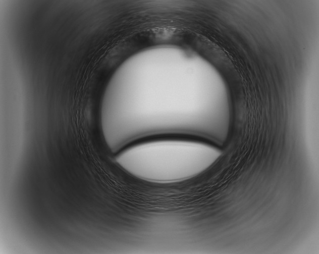 X0000098130754200804171059