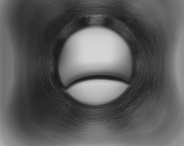 X0000098130755200804171059