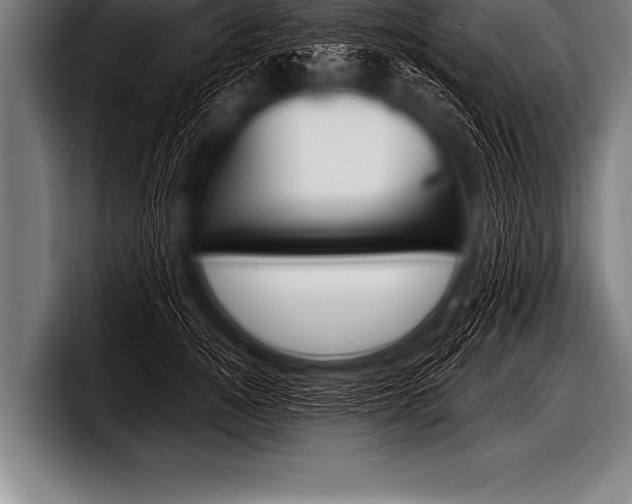 X0000098130756200804171059